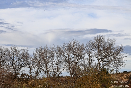 Autumn_hike_around_Zuid_Kennemerland_Nature_Landscape_Netherlands_nature_Photography_Canon_EOS_R5_Mark_II_2025_010.JPG