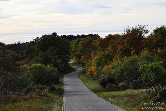 Autumn_hike_around_Zuid_Kennemerland_Nature_Landscape_Netherlands_nature_Photography_Canon_EOS_R5_Mark_II_2025_011.JPG