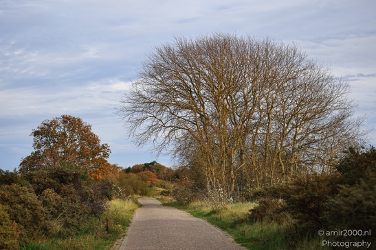 Autumn_hike_around_Zuid_Kennemerland_Nature_Landscape_Netherlands_nature_Photography_Canon_EOS_R5_Mark_II_2025_014.JPG