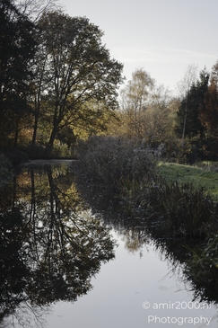 Autumnal_Trees_And_Water_Reflections_In_Diemerpolder_Diemen_Netherlands_nature_Photography_Canon_EOS_R5_Mark_II_2025_001.JPG
