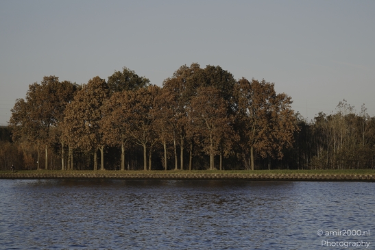 Autumnal_Trees_And_Water_Reflections_In_Diemerpolder_Diemen_Netherlands_nature_Photography_Canon_EOS_R5_Mark_II_2025_002.JPG
