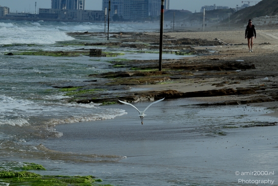 Beach_scenery_summer_vibes_Mediterranean_Sea_Israel_Nature_Photography_Canon_EOS_R5_Mark_II_2025_002.JPG