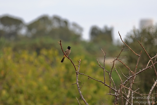 The scene stands within an outdoor setting with a in view. - image from year 2025 #002