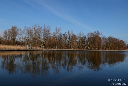 Diemerpolder_winter_scenery_sunny_day_Diemen_Netherlands_Nature_Photography_Canon_EOS_R5_Mark_II_2025_001.JPG
