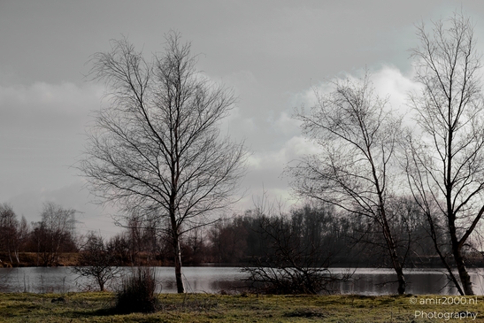 Diemerpolder_winter_scenery_sunny_day_Diemen_Netherlands_Nature_Photography_Canon_EOS_R5_Mark_II_2025_002.JPG
