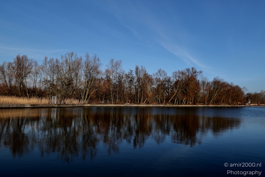 Diemerpolder_winter_scenery_sunny_day_Diemen_Netherlands_Nature_Photography_Canon_EOS_R5_Mark_II_2025_003.JPG