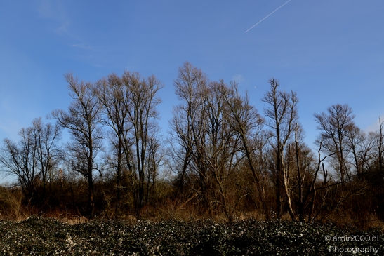 Diemerpolder_winter_scenery_sunny_day_Diemen_Netherlands_Nature_Photography_Canon_EOS_R5_Mark_II_2025_005.JPG