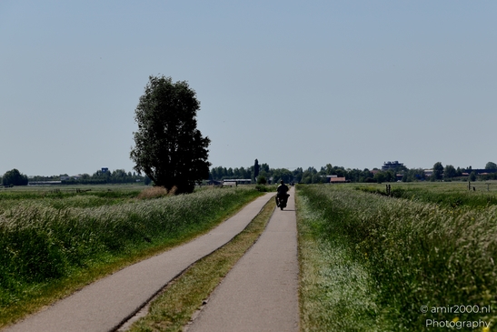Dutch_landscape_cycling_Middenweg_BP_Nes_aan_de_Amstel_Amstelveen_Netherlands_Nature_Photography_Canon_EOS_R5_Mark_II_2025_001.JPG