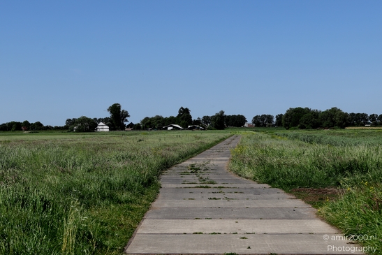 Dutch_landscape_cycling_Middenweg_BP_Nes_aan_de_Amstel_Amstelveen_Netherlands_Nature_Photography_Canon_EOS_R5_Mark_II_2025_009.JPG