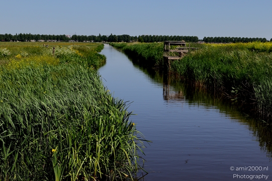 Dutch_landscape_cycling_Middenweg_BP_Nes_aan_de_Amstel_Amstelveen_Netherlands_Nature_Photography_Canon_EOS_R5_Mark_II_2025_011.JPG