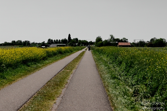 Dutch_landscape_cycling_Middenweg_BP_Nes_aan_de_Amstel_Amstelveen_Netherlands_Nature_Photography_Canon_EOS_R5_Mark_II_2025_012.JPG