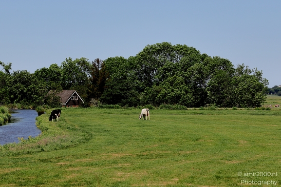 Dutch_landscape_cycling_Middenweg_BP_Nes_aan_de_Amstel_Amstelveen_Netherlands_Nature_Photography_Canon_EOS_R5_Mark_II_2025_014.JPG