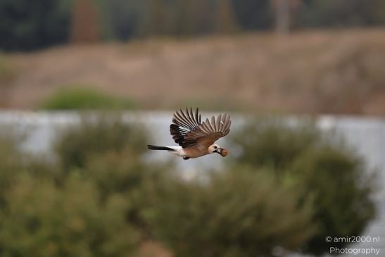 The scene appears in a broad natural view while distant ridges stays in view. - image from year 2025 #002