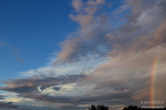 Evening_Rainbow_and_Storm_Clouds_Amsterdam_Netherlands_Nature_Photography_Canon_EOS_R5_Mark_II_2025_004.JPG