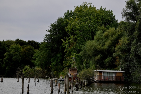 Flevopark_Nieuwe_Diep_Amsterdam_Netherlands_Nature_Photography_Canon_EOS_R5_Mark_II_2025_001.JPG