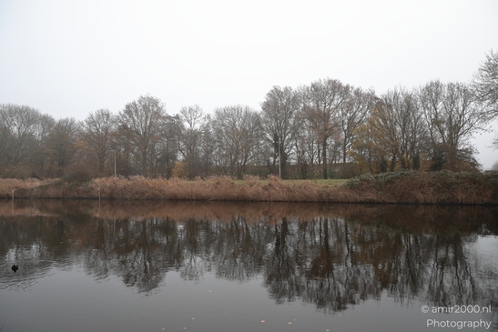 Foggy_Noordhollandschkanaal_And_Polder_Amsterdam_Netherlands_Nature_Photography_Canon_EOS_R5_Mark_II_2025_001.JPG