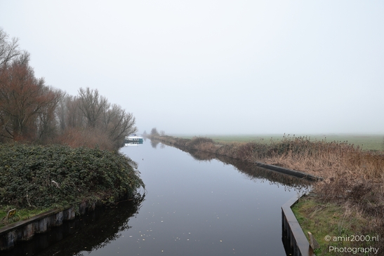 Foggy_Noordhollandschkanaal_And_Polder_Amsterdam_Netherlands_Nature_Photography_Canon_EOS_R5_Mark_II_2025_002.JPG