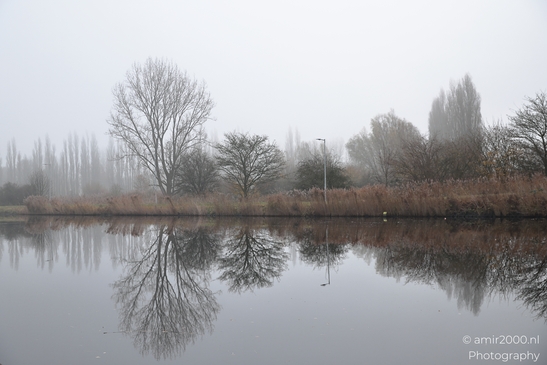 Foggy_Noordhollandschkanaal_And_Polder_Amsterdam_Netherlands_Nature_Photography_Canon_EOS_R5_Mark_II_2025_004.JPG