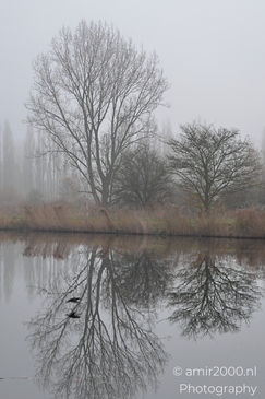Foggy_Noordhollandschkanaal_And_Polder_Amsterdam_Netherlands_Nature_Photography_Canon_EOS_R5_Mark_II_2025_005.JPG