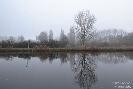 Foggy_Noordhollandschkanaal_And_Polder_Amsterdam_Netherlands_Nature_Photography_Canon_EOS_R5_Mark_II_2025_006.JPG