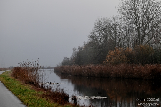 Foggy_Noordhollandschkanaal_And_Polder_Amsterdam_Netherlands_Nature_Photography_Canon_EOS_R5_Mark_II_2025_018.JPG
