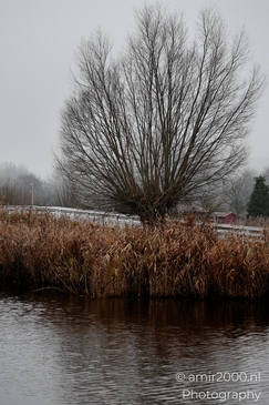 Foggy_Noordhollandschkanaal_And_Polder_Amsterdam_Netherlands_Nature_Photography_Canon_EOS_R5_Mark_II_2025_019.JPG