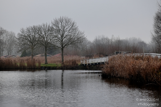 Foggy_Noordhollandschkanaal_And_Polder_Amsterdam_Netherlands_Nature_Photography_Canon_EOS_R5_Mark_II_2025_020.JPG