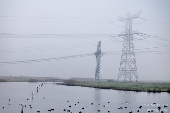 Foggy_Noordhollandschkanaal_And_Polder_Amsterdam_Netherlands_Nature_Photography_Canon_EOS_R5_Mark_II_2025_021.JPG