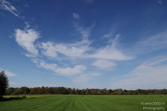 A serene landscape in the Netherlands with a clear blue sky and lush green fields in Nature - image from year 2025 #004