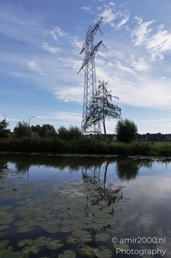 A serene landscape in the Netherlands with a power line tower overlooking a tranquil pond - image from year 2025 #005