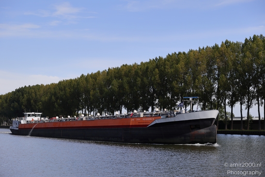 A large barge navigates through a scenic canal in the Netherlands, flanked by lush green trees - image from year 2025 #006