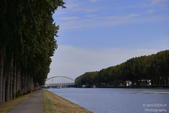 A serene canal view in the Netherlands, with trees lining both sides of the pathway leading to a - image from year 2025 #007