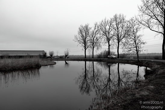 Gein_between_Driemond_and_Abcoude_Reflection_Nature_Landscape_Netherlands_Nature_Photography_Canon_EOS_R5_Mark_II_2025_010.JPG
