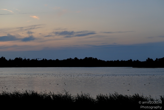 Golden_Hour_at_Waterkeringpad_Diemen_Netherlands_Nature_Photography_Canon_EOS_R5_Mark_II_2025_001.JPG