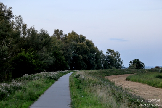 Golden_Hour_at_Waterkeringpad_Diemen_Netherlands_Nature_Photography_Canon_EOS_R5_Mark_II_2025_003.JPG