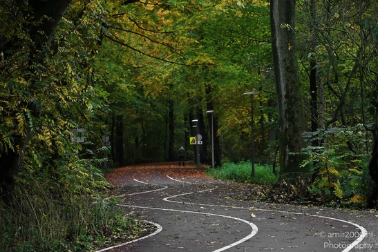 Het_Amsterdamse_Bos_During_Autumn_Amstelveen_Netherlands_nature_Photography_Canon_EOS_R5_Mark_II_2025_001.JPG