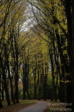 Het_Amsterdamse_Bos_During_Autumn_Amstelveen_Netherlands_nature_Photography_Canon_EOS_R5_Mark_II_2025_002.JPG