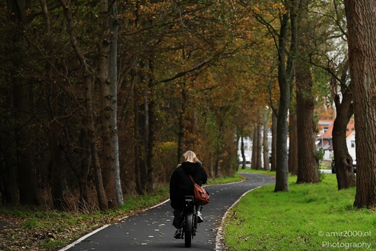 Het_Amsterdamse_Bos_During_Autumn_Amstelveen_Netherlands_nature_Photography_Canon_EOS_R5_Mark_II_2025_003.JPG