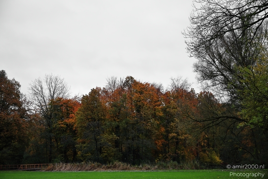 Het_Amsterdamse_Bos_During_Autumn_Amstelveen_Netherlands_nature_Photography_Canon_EOS_R5_Mark_II_2025_004.JPG