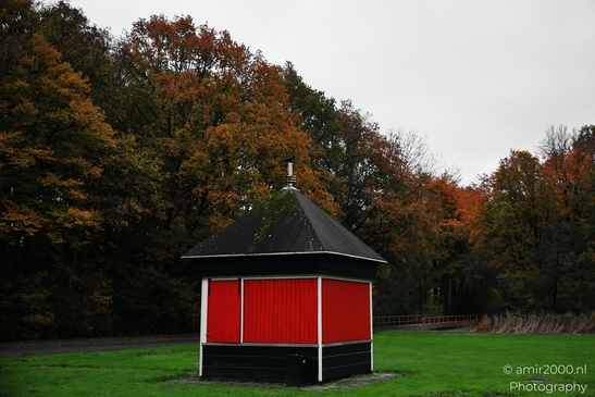 Het_Amsterdamse_Bos_During_Autumn_Amstelveen_Netherlands_nature_Photography_Canon_EOS_R5_Mark_II_2025_005.JPG
