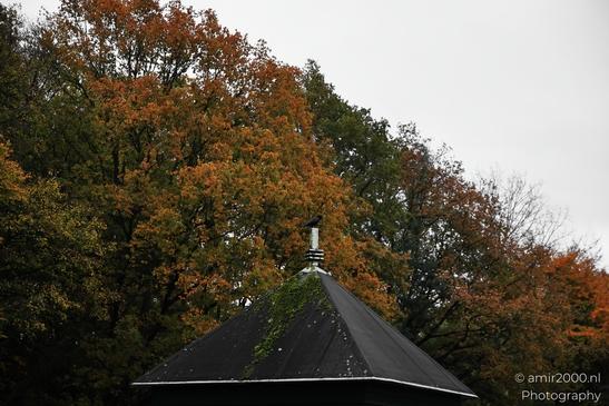 Het_Amsterdamse_Bos_During_Autumn_Amstelveen_Netherlands_nature_Photography_Canon_EOS_R5_Mark_II_2025_006.JPG