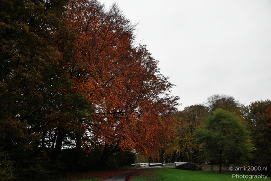 Het_Amsterdamse_Bos_During_Autumn_Amstelveen_Netherlands_nature_Photography_Canon_EOS_R5_Mark_II_2025_007.JPG