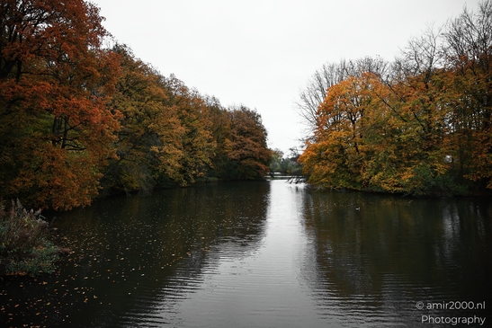 Het_Amsterdamse_Bos_During_Autumn_Amstelveen_Netherlands_nature_Photography_Canon_EOS_R5_Mark_II_2025_008.JPG