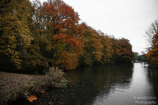 Het_Amsterdamse_Bos_During_Autumn_Amstelveen_Netherlands_nature_Photography_Canon_EOS_R5_Mark_II_2025_009.JPG