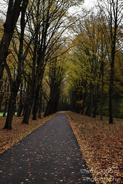 Het_Amsterdamse_Bos_During_Autumn_Amstelveen_Netherlands_nature_Photography_Canon_EOS_R5_Mark_II_2025_011.JPG