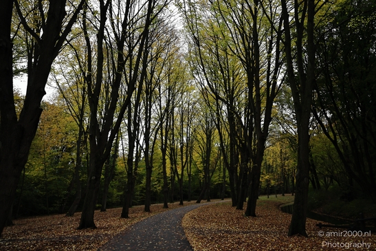 Het_Amsterdamse_Bos_During_Autumn_Amstelveen_Netherlands_nature_Photography_Canon_EOS_R5_Mark_II_2025_012.JPG