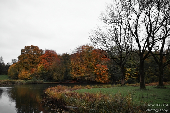 Het_Amsterdamse_Bos_During_Autumn_Amstelveen_Netherlands_nature_Photography_Canon_EOS_R5_Mark_II_2025_014.JPG