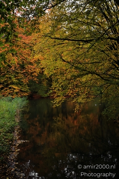 Het_Amsterdamse_Bos_During_Autumn_Amstelveen_Netherlands_nature_Photography_Canon_EOS_R5_Mark_II_2025_018.JPG