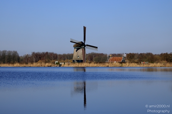Het_Twiske_recreation_park_Oostzaan_Netherlands_Nature_Photography_Canon_EOS_R5_Mark_II_2025_006.JPG