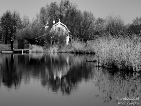 Het_Twiske_recreation_park_Oostzaan_Netherlands_Nature_Photography_Canon_EOS_R5_Mark_II_2025_010.JPG